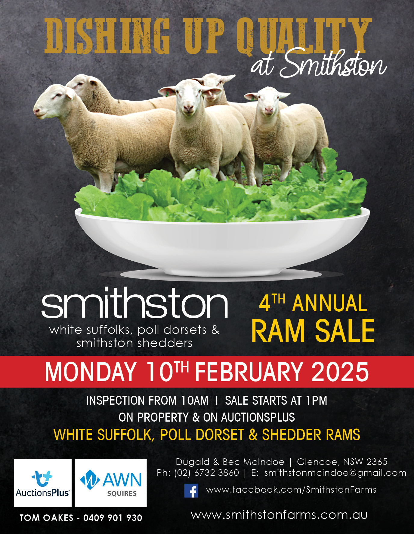 Smithston - T42 - Advert 3